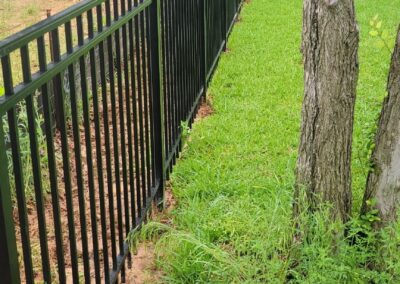 Around Fencing