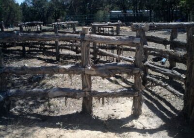Around Fencing
