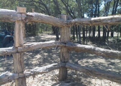 Around Fencing