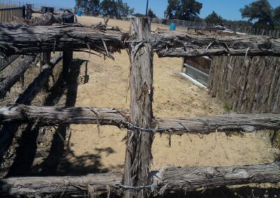 Around Fencing